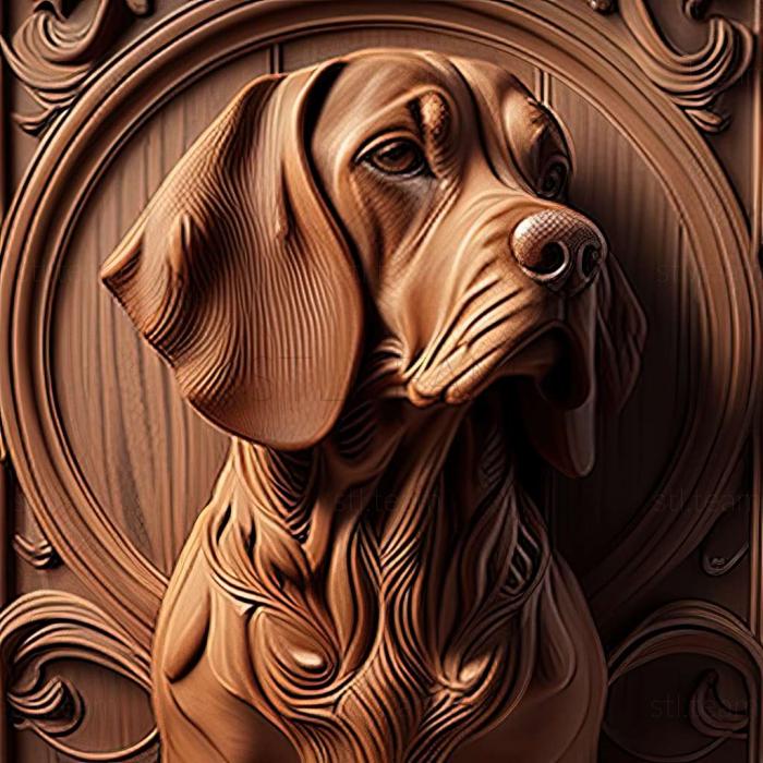 3D model The Italian Hound dog (STL)